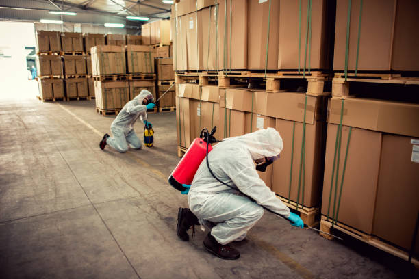 Best Pest Control Near Me  in Watertown Town, MA