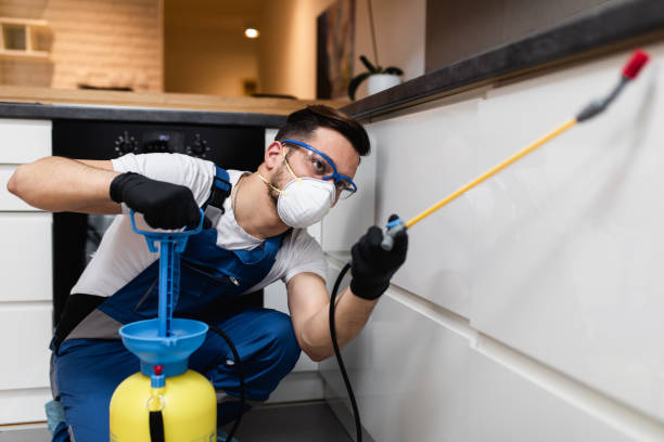 Professional Pest Control in Watertown Town, MA
