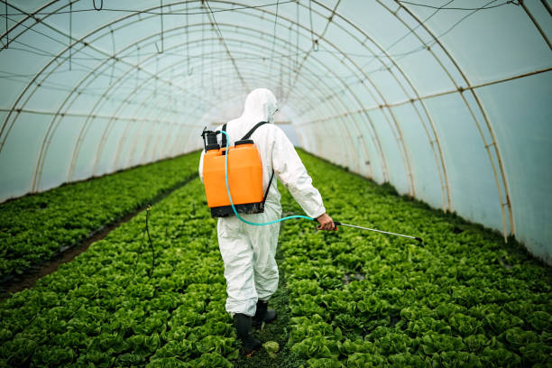Best Affordable Pest Control Services  in Watertown Town, MA