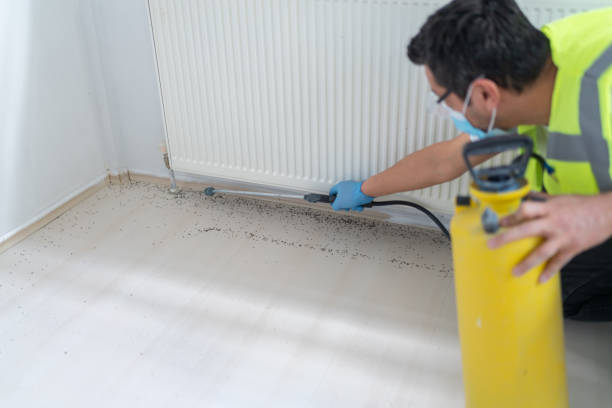Best Mosquito Control Services  in Watertown Town, MA