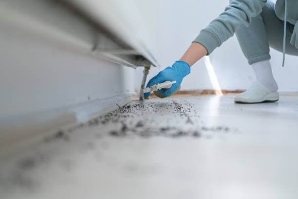 Professional Pest Control in Watertown Town, MA